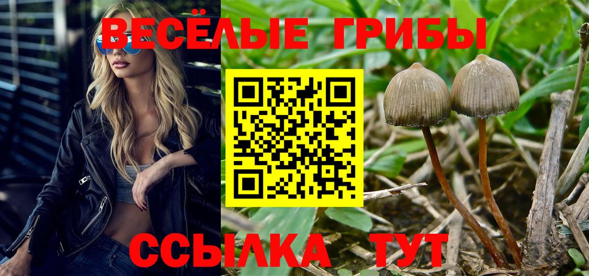 Мурманск  сколько стоит  Галлюциногенные грибы ЛСД  Вход с VPN  Галлюциногенные грибы MAGIC MUSHROOMS 