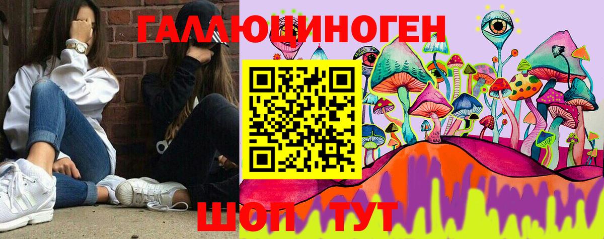 Псилоцибиновые грибы прущие грибы Мурманск